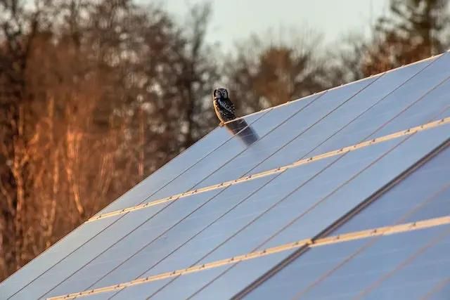 Solarmodule Leistung